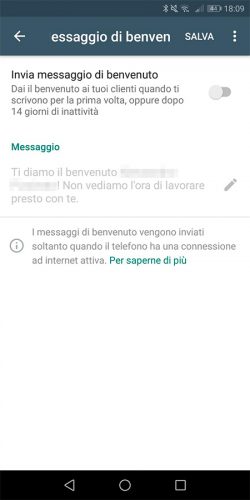 18-02-22-Whatsapp-Business-10_mod