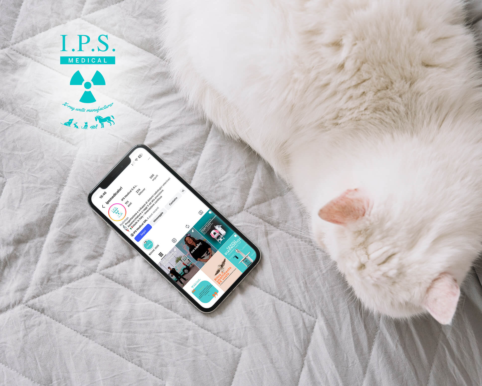 Featured image for “IPS”
